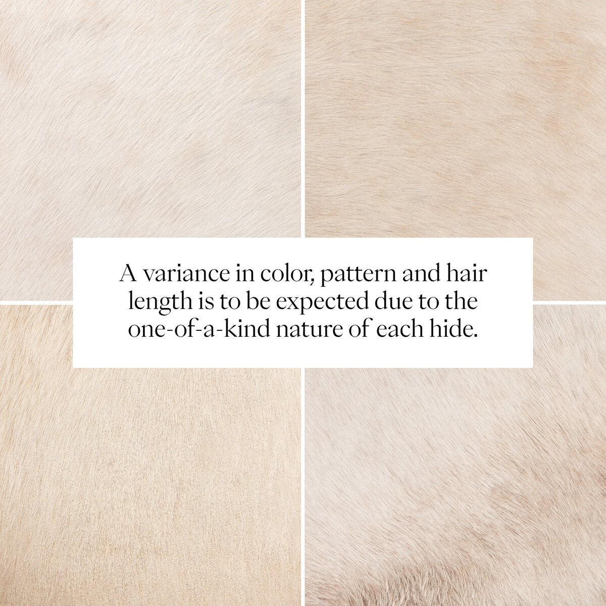 Detail of natural hide showcasing unique color and texture variations in each piece.