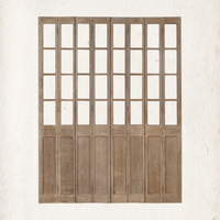 Vintage Door Partition