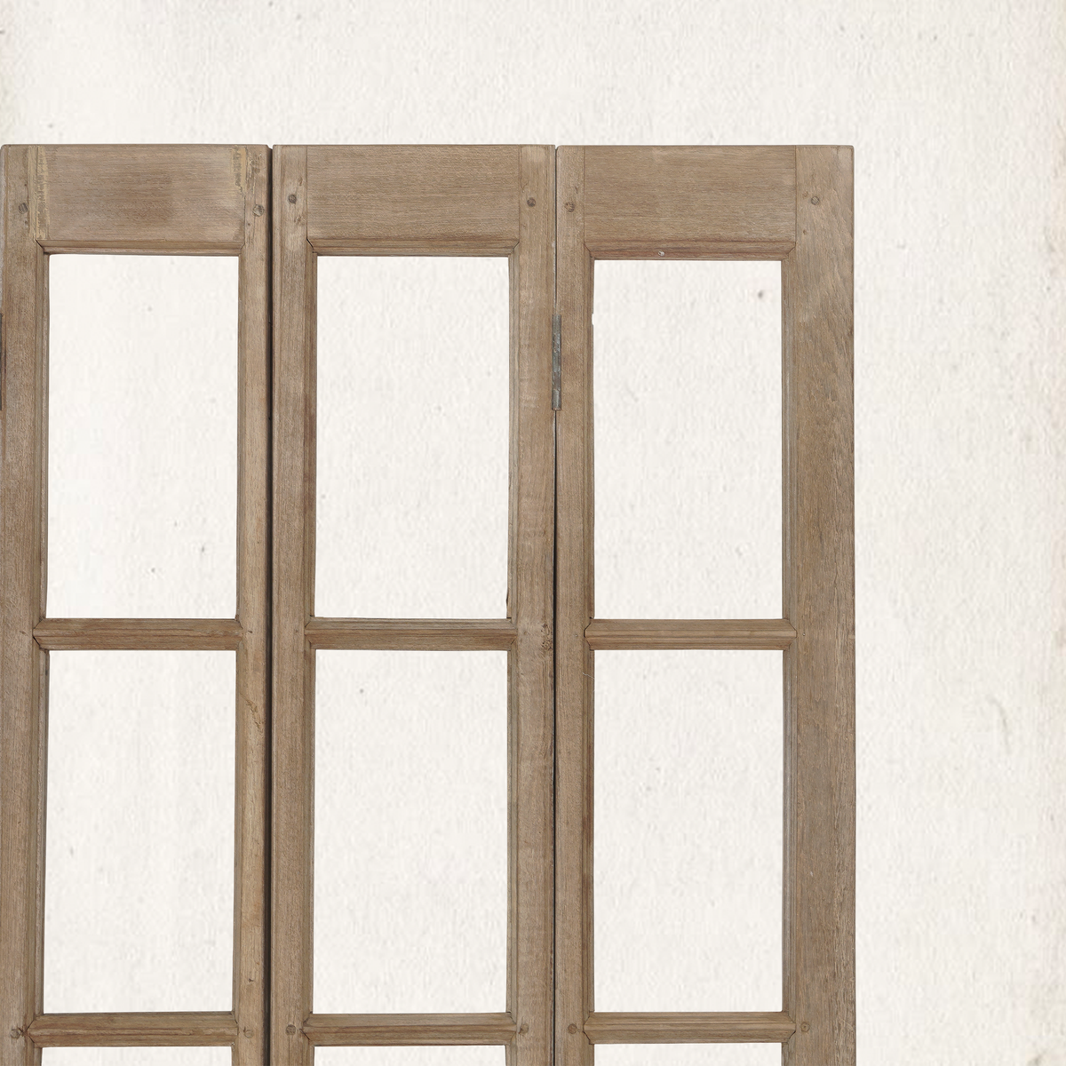 Vintage Door Partition