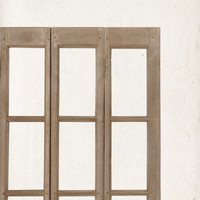 Vintage Door Partition